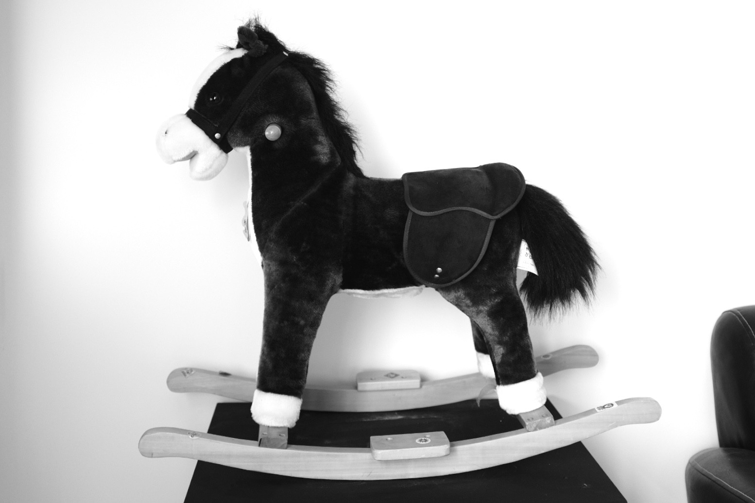 Rocking Horse