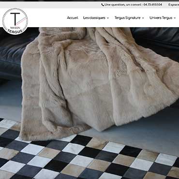 Création site web Allier pour Tergus Capture d’écran du site Tergus avec couverture en fourrure