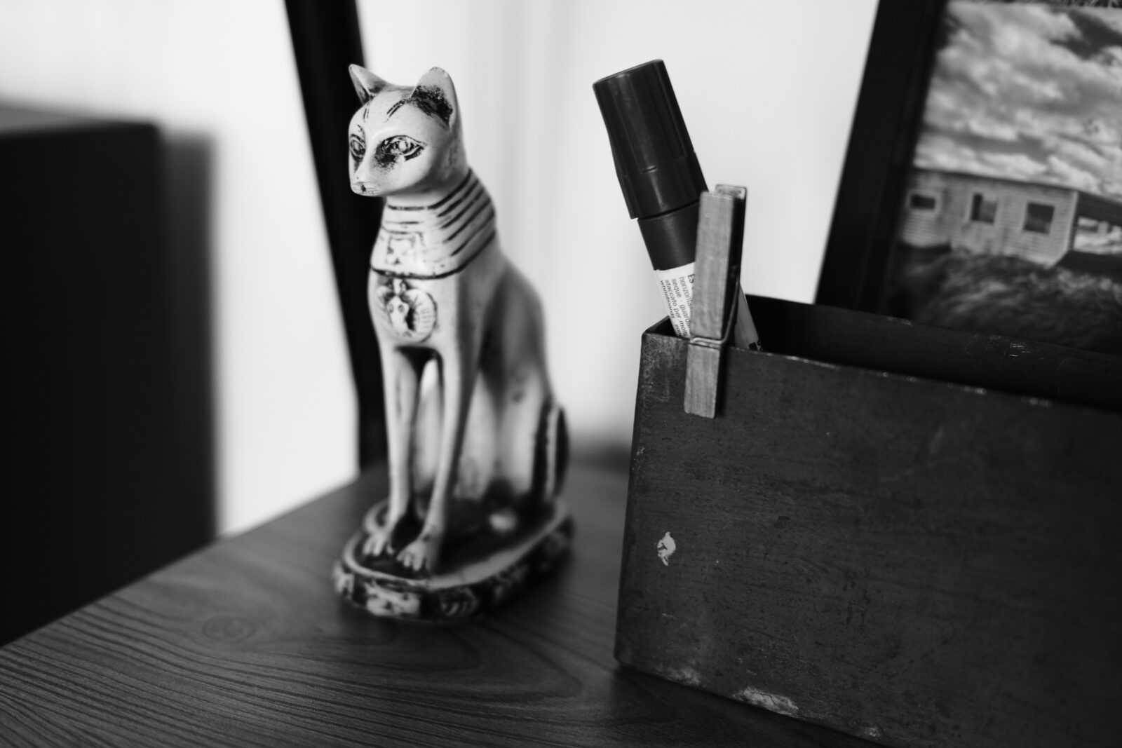 The Egyptian Cat